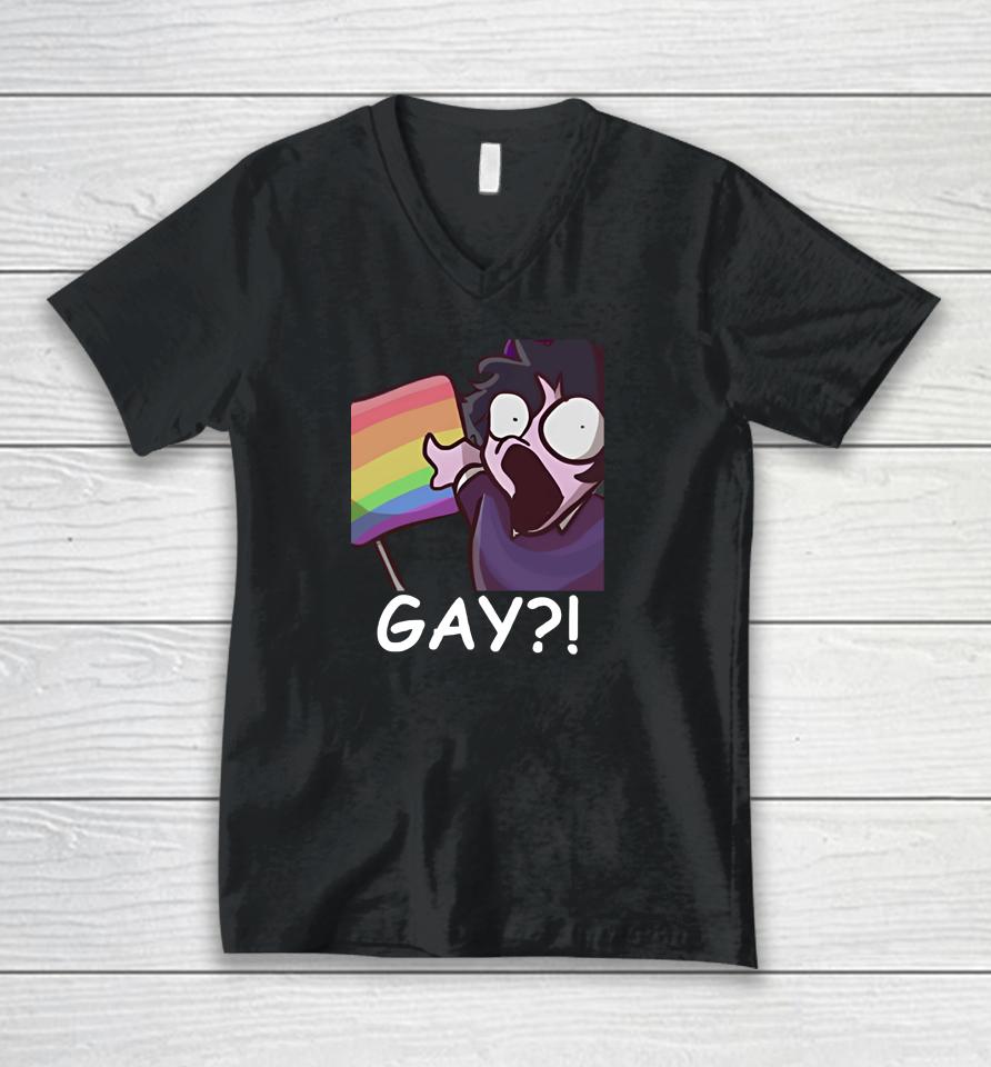 Jellybean Gay Unisex V-Neck T-Shirt