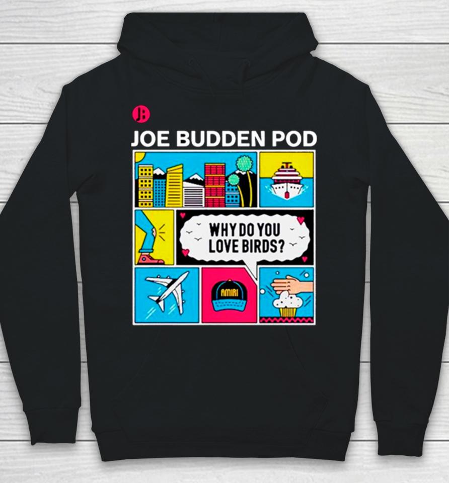 Joe Budden Pod Why Do You Love Birds Hoodie