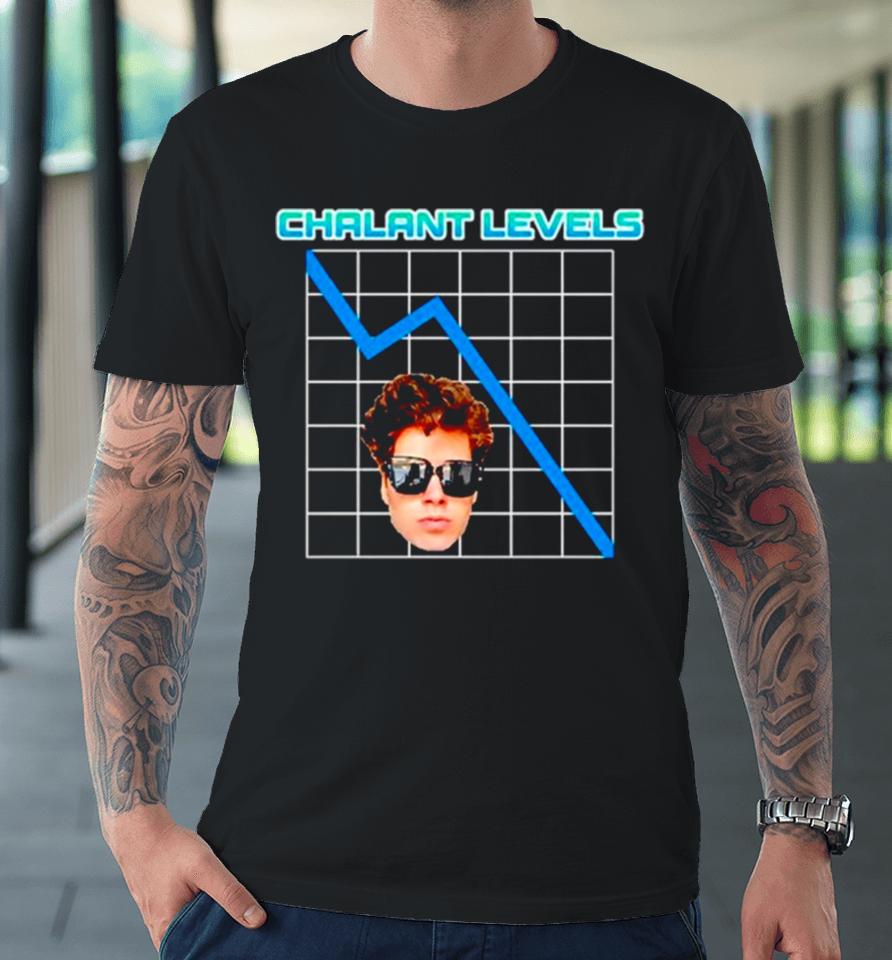 Jonas Gindin Chalant Levels Premium T-Shirt