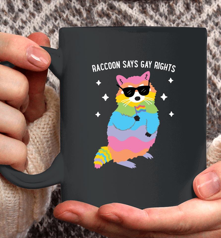 Juicybodygoddess Raccoon Says Gay Rights Coffee Mug