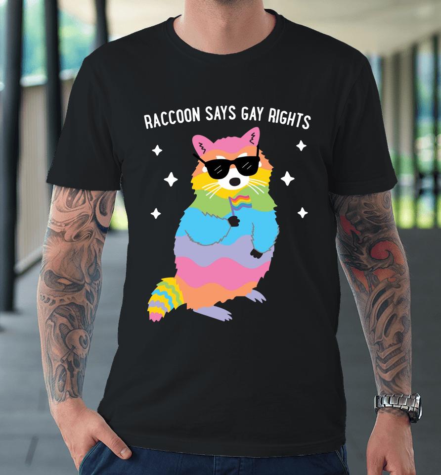 Juicybodygoddess Raccoon Says Gay Rights Premium T-Shirt