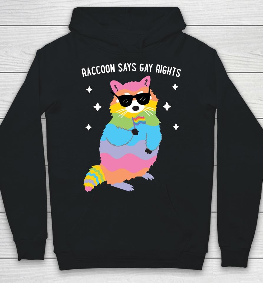 Juicybodygoddess Raccoon Says Gay Rights Hoodie
