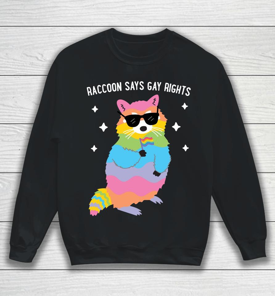 Juicybodygoddess Raccoon Says Gay Rights Sweatshirt