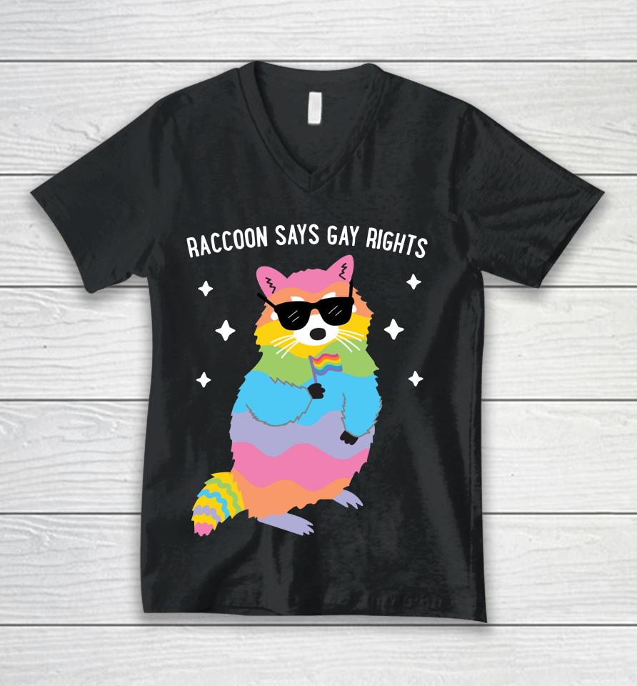 Juicybodygoddess Raccoon Says Gay Rights Unisex V-Neck T-Shirt