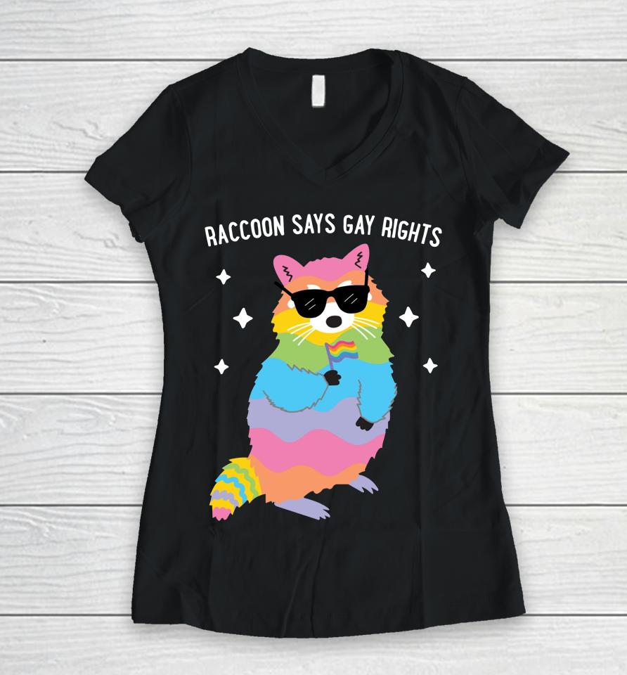 Juicybodygoddess Raccoon Says Gay Rights Women V-Neck T-Shirt