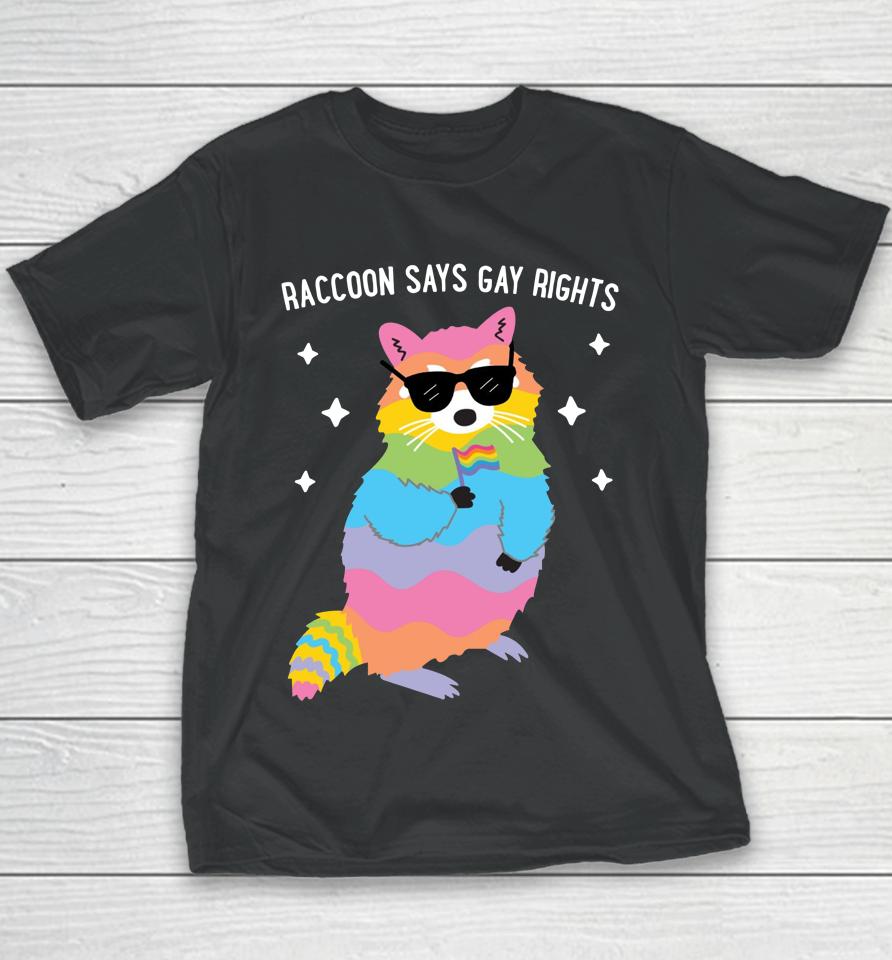 Juicybodygoddess Raccoon Says Gay Rights Youth T-Shirt