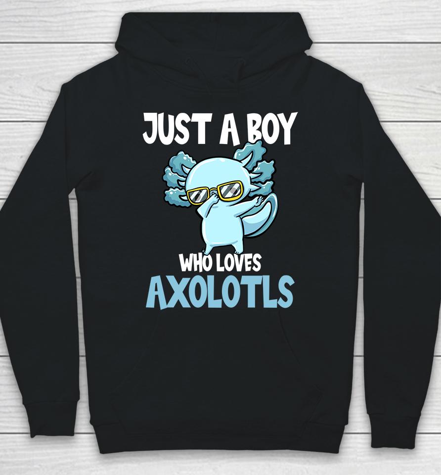 Just A Boy Who Loves Axolotls Hoodie