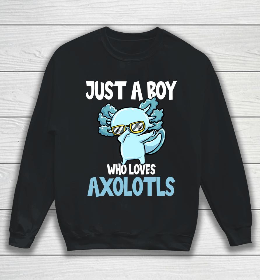 Just A Boy Who Loves Axolotls Sweatshirt