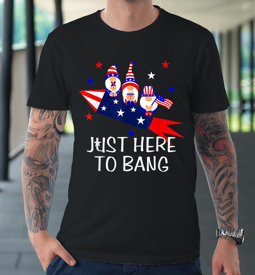 Just Here To Bang Happy 4Th Of July Cute Gnomes America Premium T-Shirt