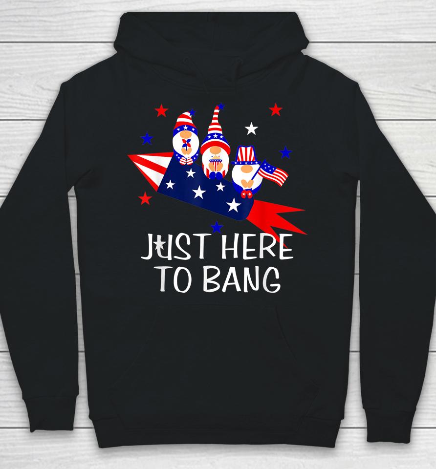 Just Here To Bang Happy 4Th Of July Cute Gnomes America Hoodie