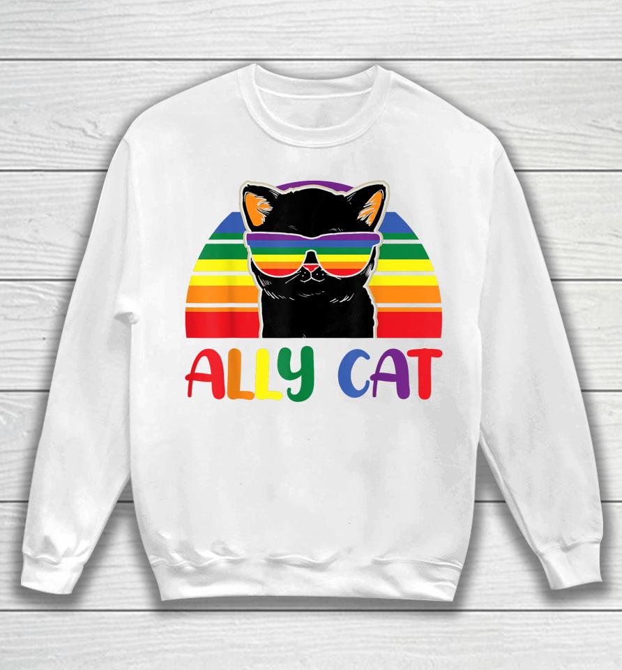 Lgbt Ally Cat Be Kind Gay Rainbow Funny Lgbtq Flag Gay Pride Sweatshirt