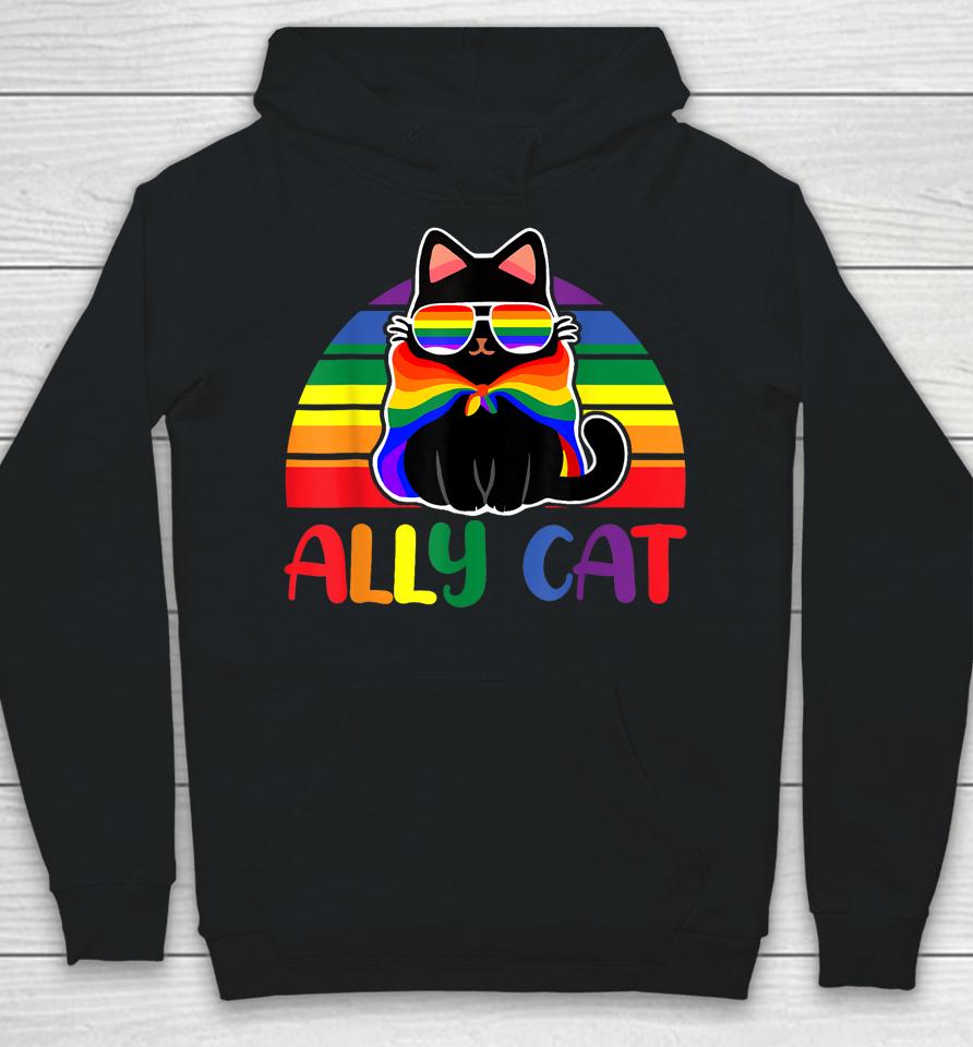 Lgbt Ally Cat Be Kind Gay Rainbow Funny Lgbtq Flag Gay Pride Hoodie