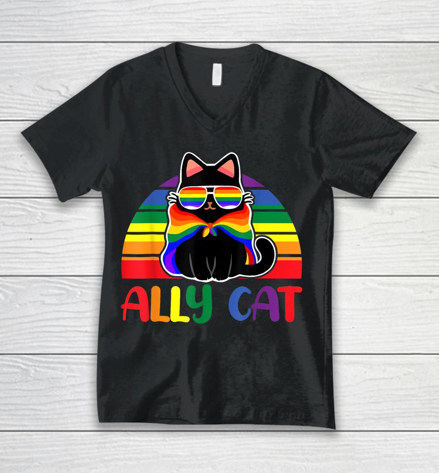 Lgbt Ally Cat Be Kind Gay Rainbow Funny Lgbtq Flag Gay Pride Unisex V-Neck T-Shirt