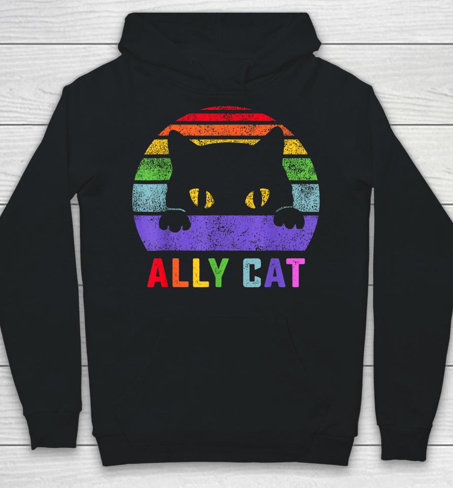 Lgbt Ally Cat Be Kind Gay Rainbow Funny Lgbtq Gifts Hoodie