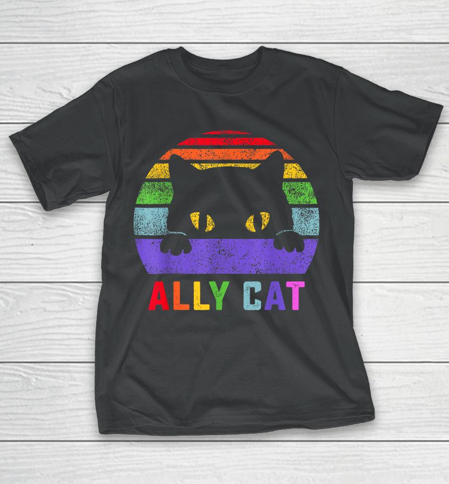Lgbt Ally Cat Be Kind Gay Rainbow Funny Lgbtq Gifts T-Shirt
