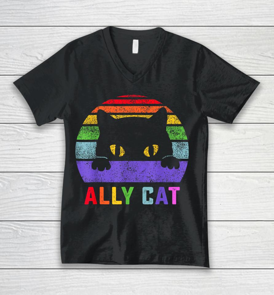Lgbt Ally Cat Be Kind Gay Rainbow Funny Lgbtq Gifts Unisex V-Neck T-Shirt