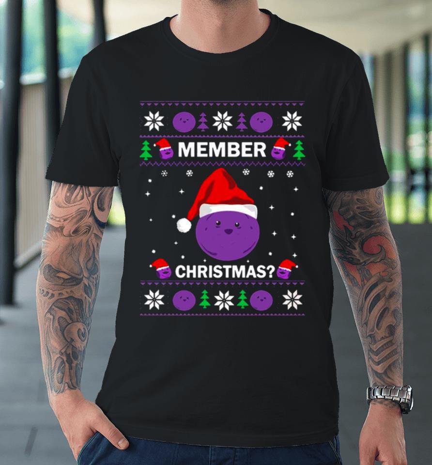 Member Berries Christmas Halloween Day Thanksgiving Christmas Day Premium T-Shirt