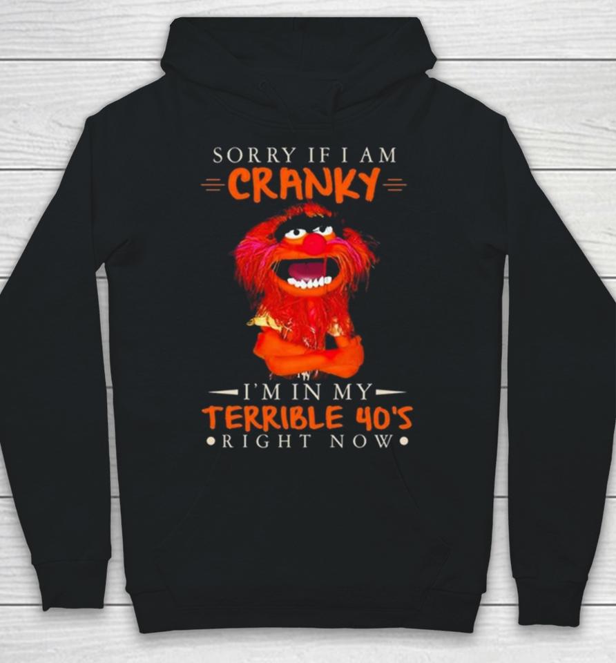 Muppet Sorry If I Am Cranky I’m In My Terrible 40’S Right Now Hoodie