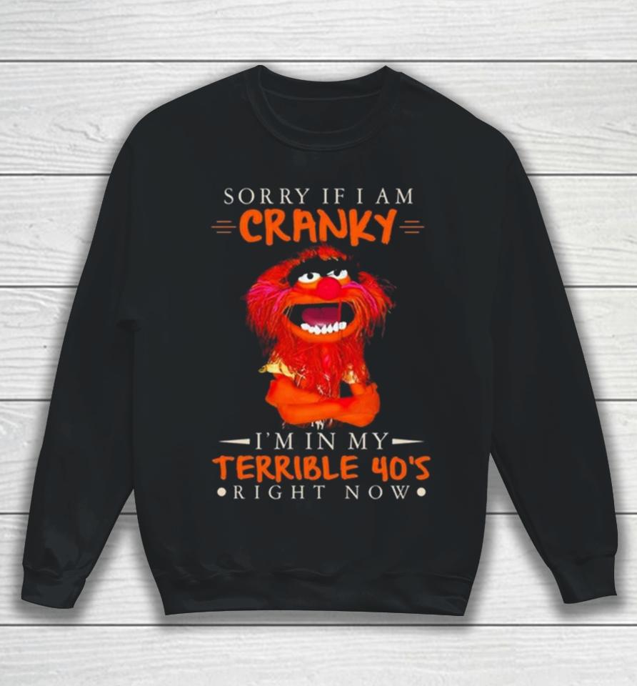 Muppet Sorry If I Am Cranky I’m In My Terrible 40’S Right Now Sweatshirt