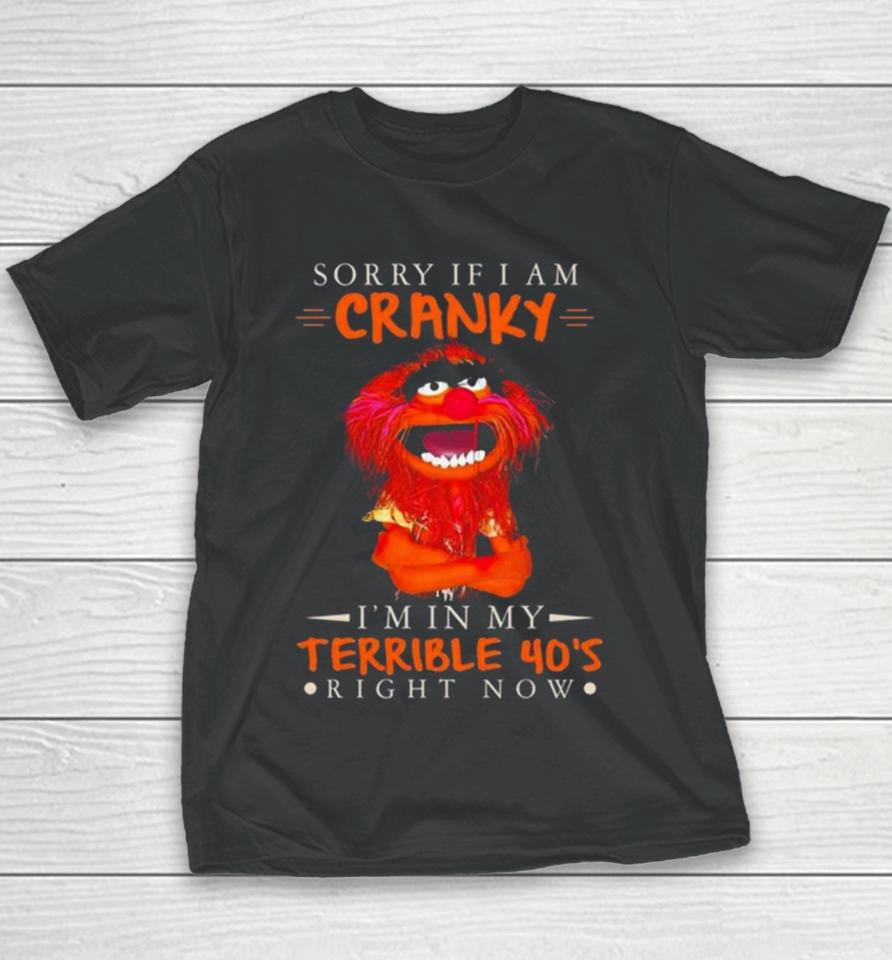 Muppet Sorry If I Am Cranky I’m In My Terrible 40’S Right Now Youth T-Shirt