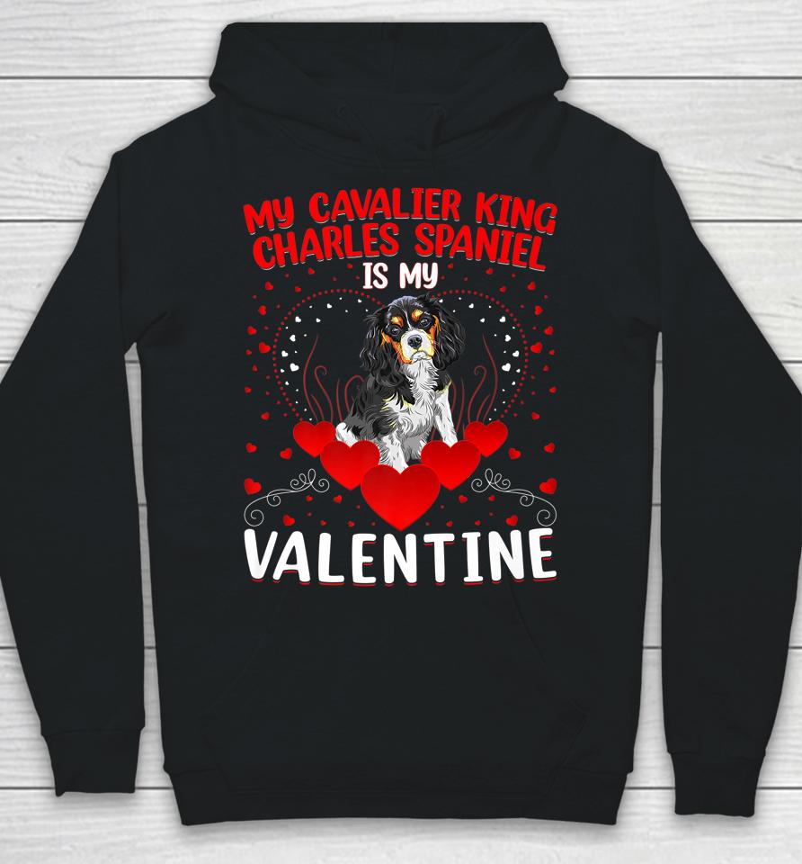 My Cavalier King Charles Spaniel Is My Valentine Dog Lover Hoodie