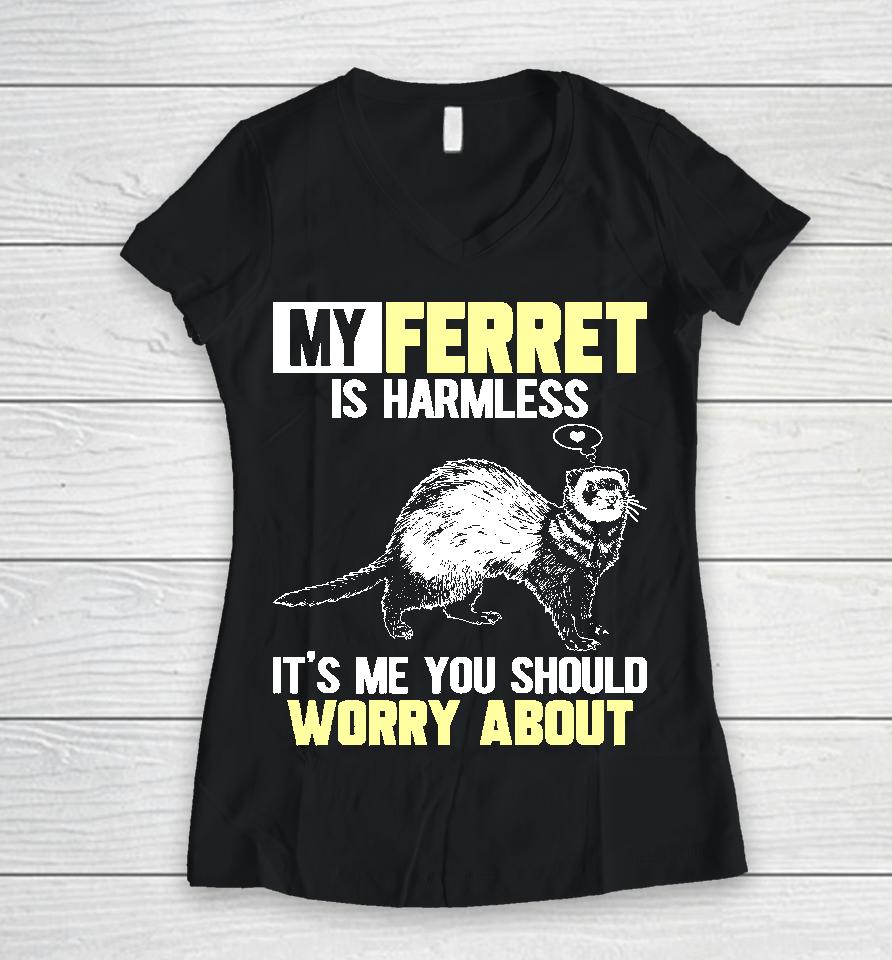My Ferret Is Harmless Women V-Neck T-Shirt