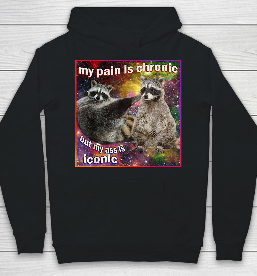 My Pain Is Chronic But My Ass Is Iconic Meme Raccoon Funny Hoodie