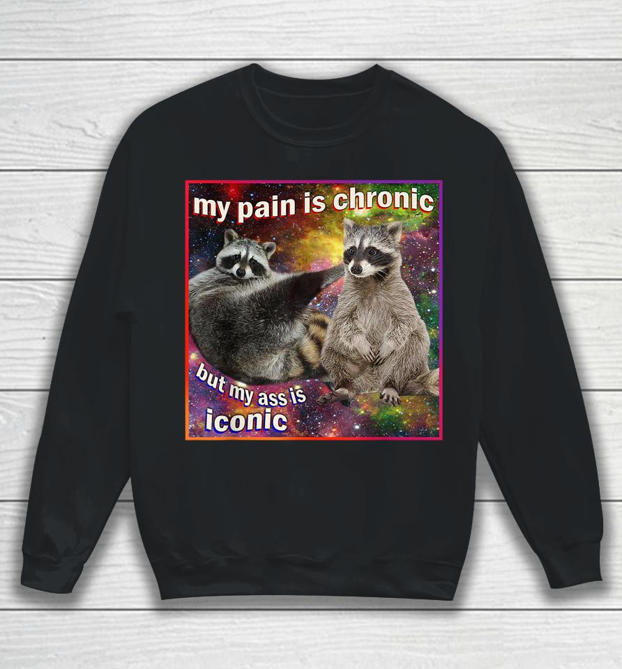 My Pain Is Chronic But My Ass Is Iconic Meme Raccoon Funny Sweatshirt