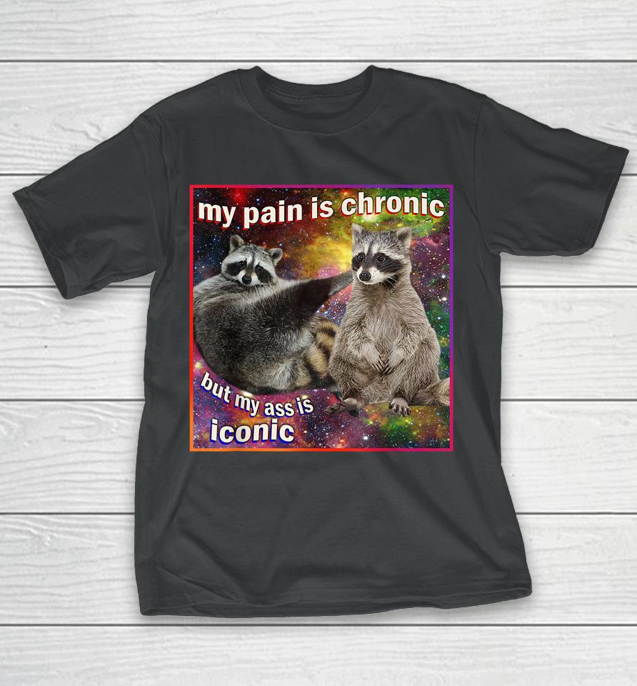 My Pain Is Chronic But My Ass Is Iconic Meme Raccoon Funny T-Shirt