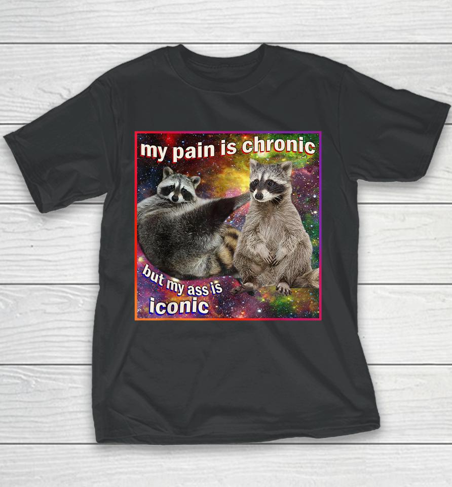 My Pain Is Chronic But My Ass Is Iconic Meme Raccoon Funny Youth T-Shirt