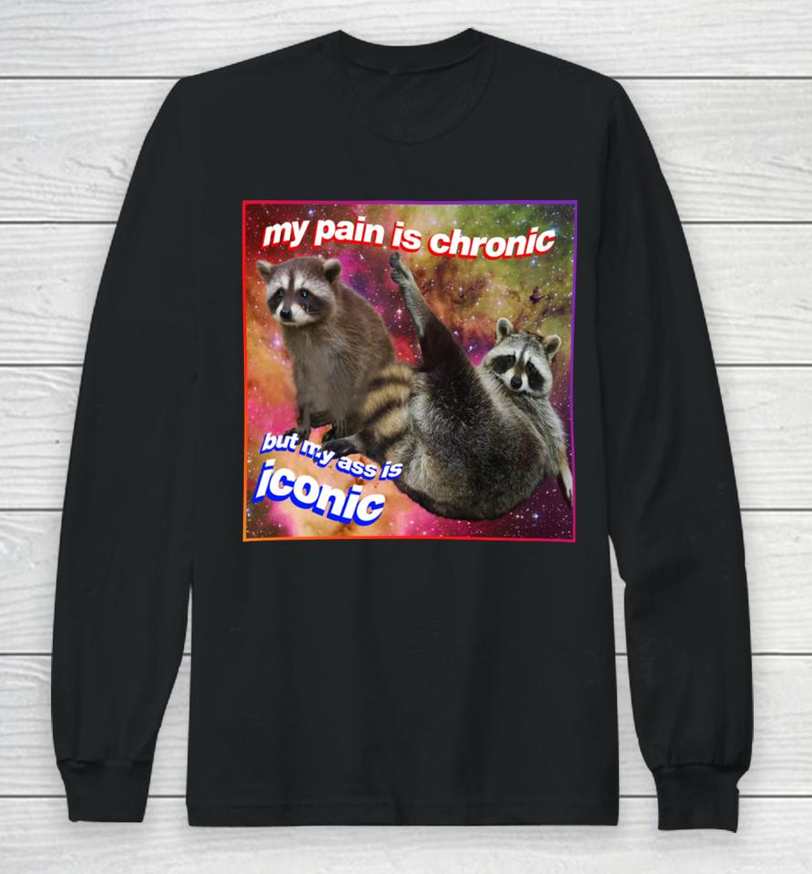 My Pain Is Chronic But My Ass Is Iconic Tanuki Raccoon Long Sleeve T-Shirt