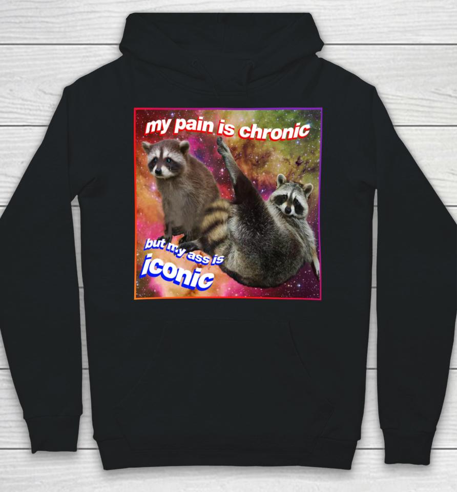 My Pain Is Chronic But My Ass Is Iconic Tanuki Raccoon Hoodie