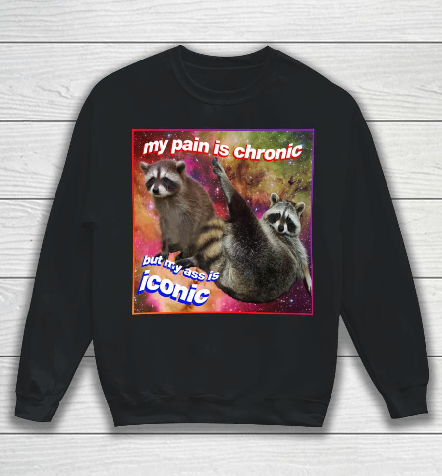 My Pain Is Chronic But My Ass Is Iconic Tanuki Raccoon Sweatshirt
