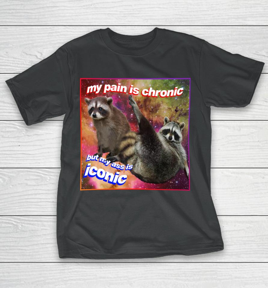 My Pain Is Chronic But My Ass Is Iconic Tanuki Raccoon T-Shirt