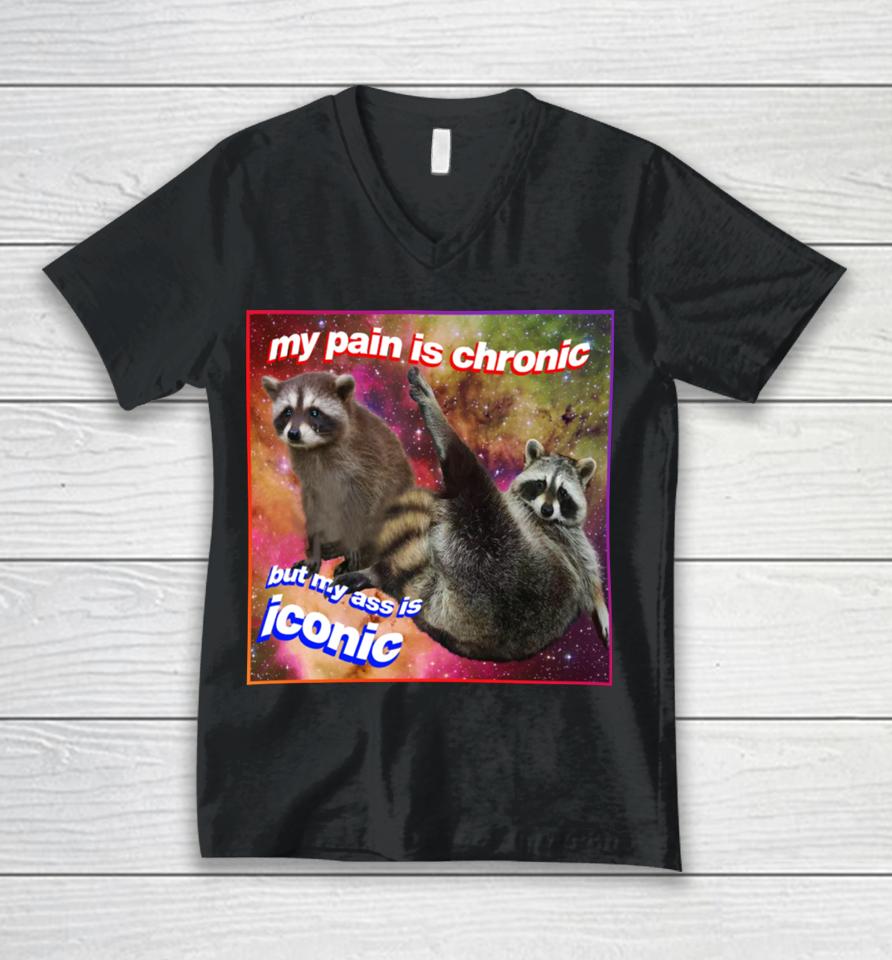My Pain Is Chronic But My Ass Is Iconic Tanuki Raccoon Unisex V-Neck T-Shirt