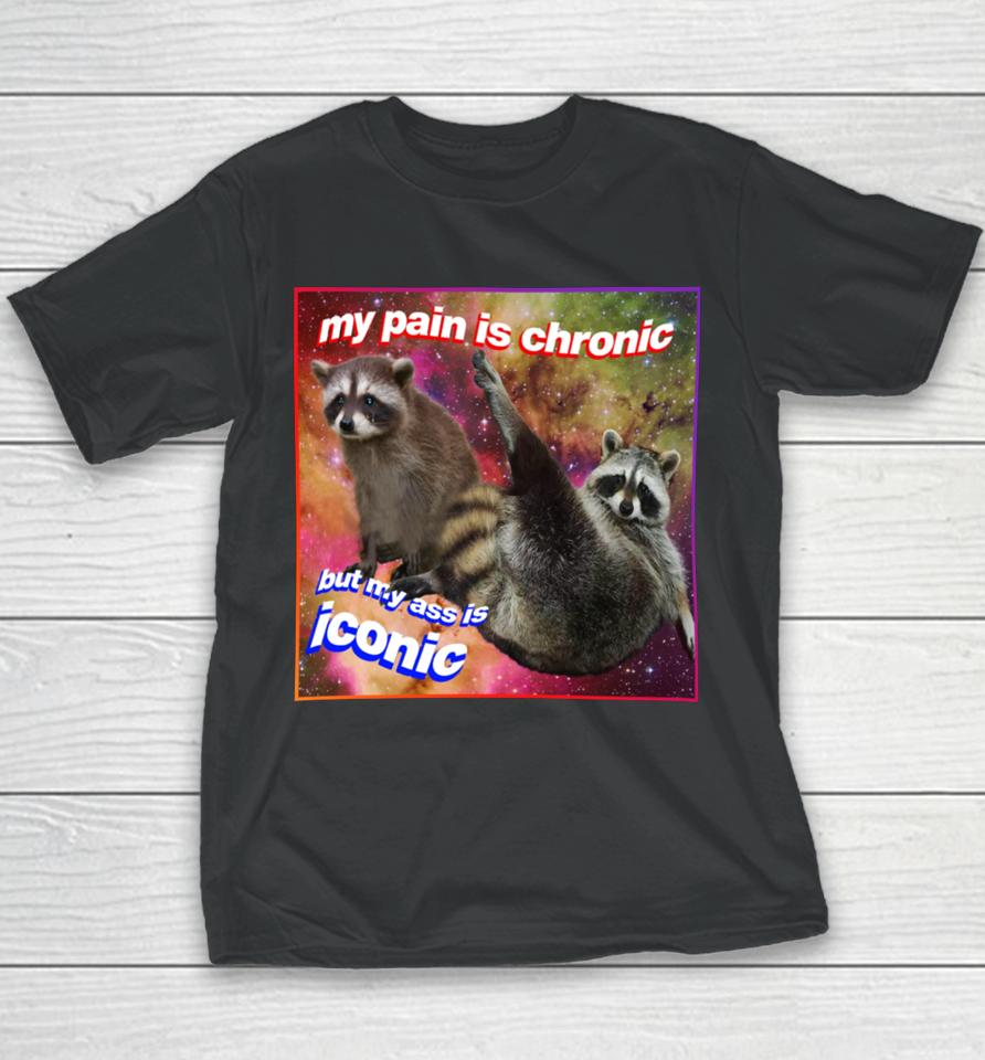 My Pain Is Chronic But My Ass Is Iconic Tanuki Raccoon Youth T-Shirt