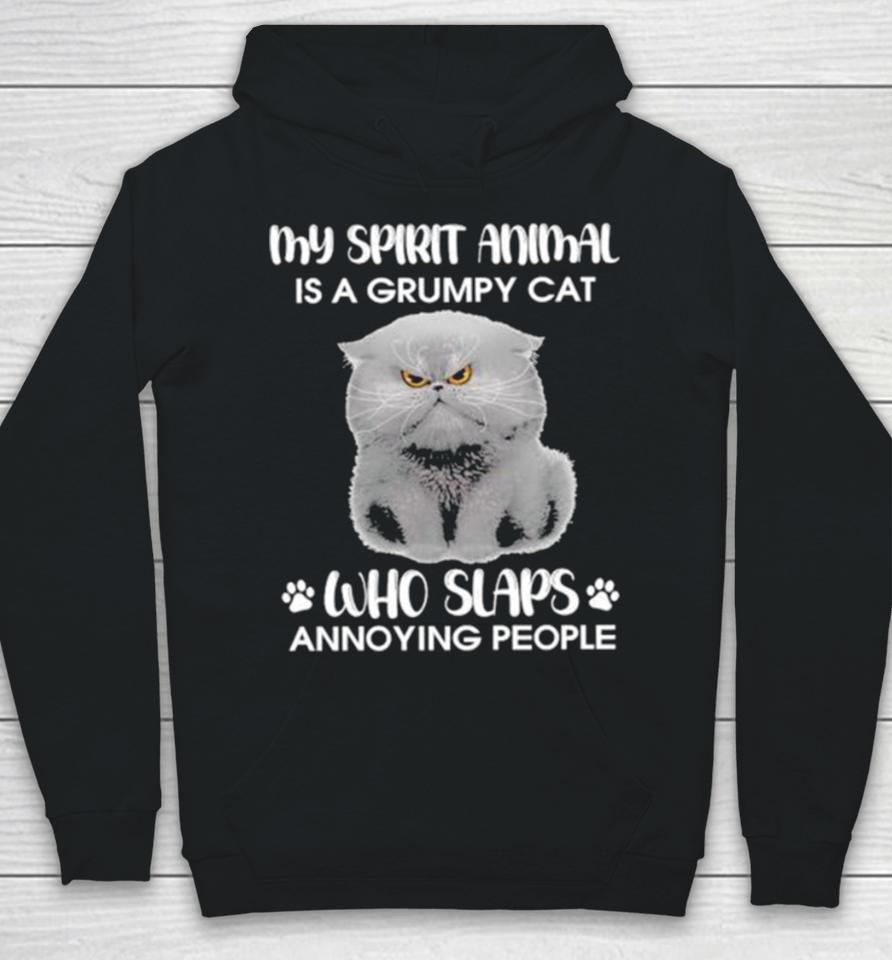 My Spirit Animal Is A Grumpy Cat Who Slaps Annoying People 2024 Hoodie