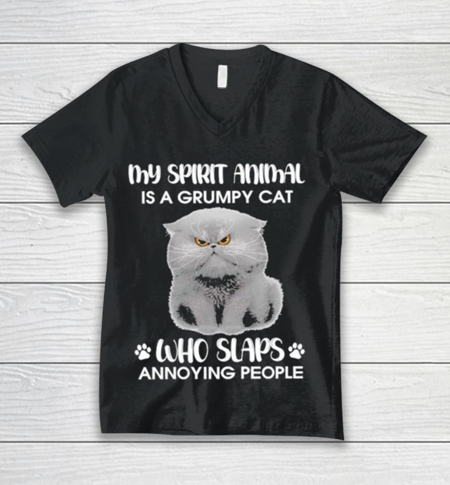 My Spirit Animal Is A Grumpy Cat Who Slaps Annoying People 2024 Unisex V-Neck T-Shirt