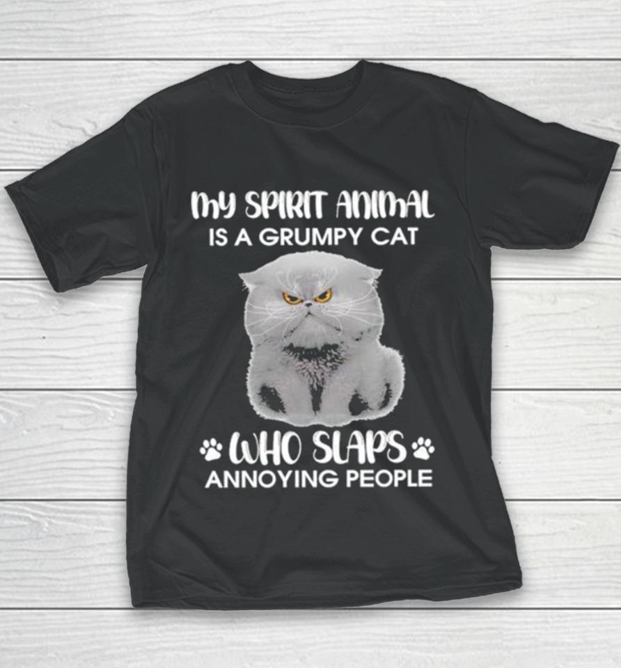 My Spirit Animal Is A Grumpy Cat Who Slaps Annoying People 2024 Youth T-Shirt