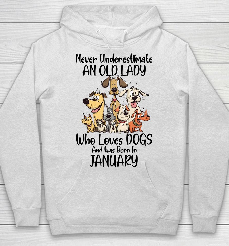Never Underestimate An Old Lady Who Loves Dogs January Hoodie