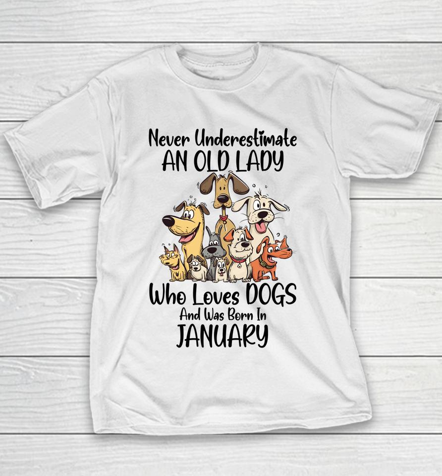 Never Underestimate An Old Lady Who Loves Dogs January Youth T-Shirt