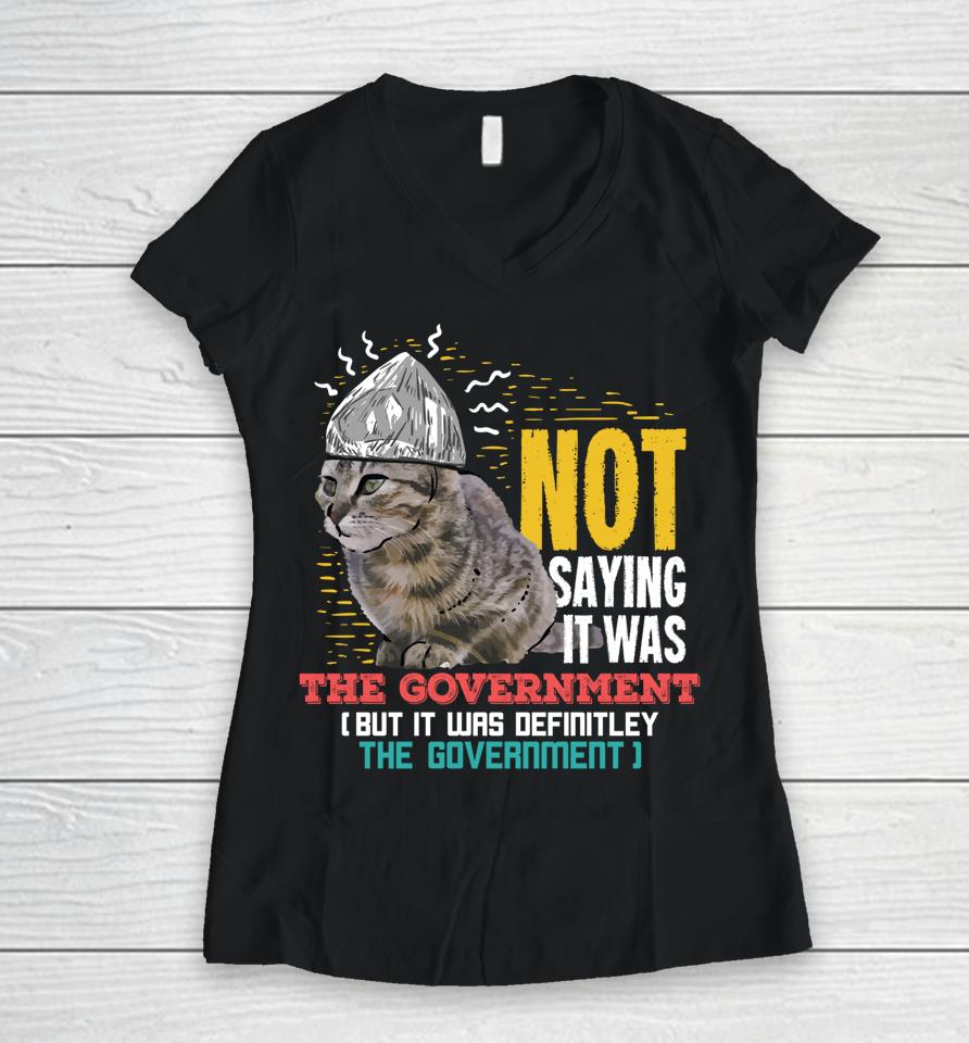 Not Saying It Was The Government But It Was Definitely The Government Women V-Neck T-Shirt