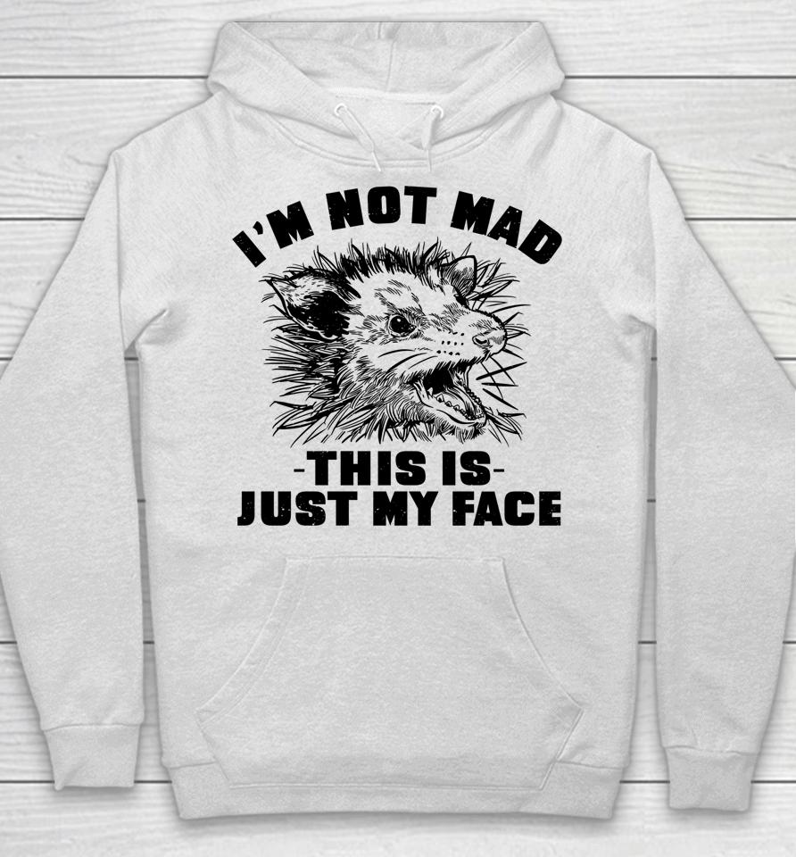 Opossum I'm Not Mad This Is Just My Face Possum Lovers Hoodie