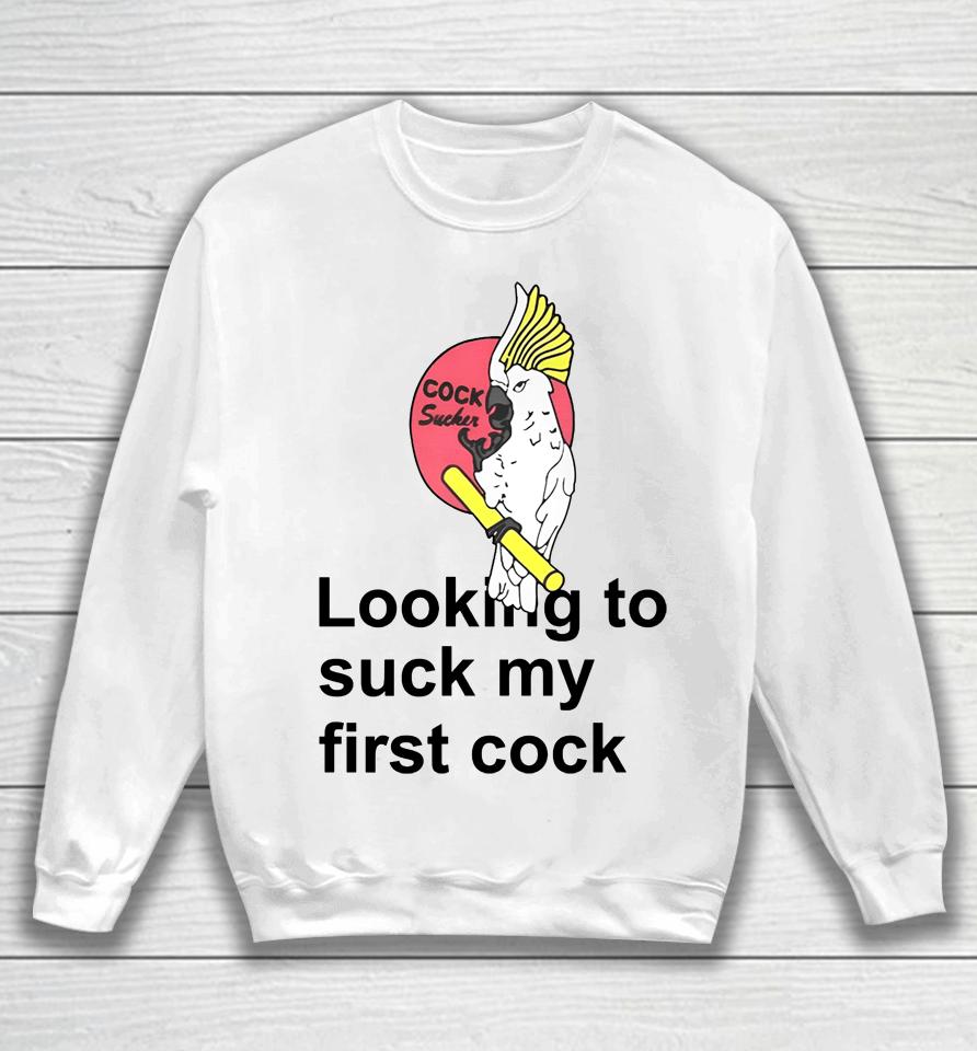 Poorly Translated  Looking To Suck My First Cock Sweatshirt