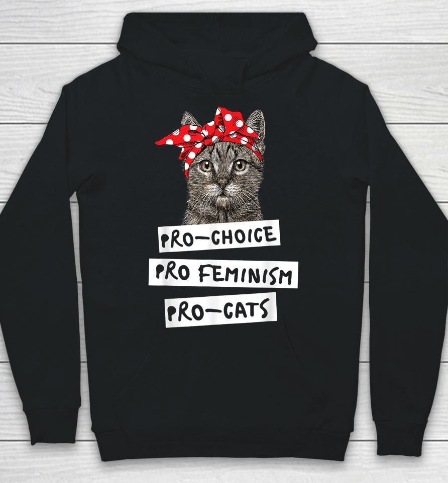 Pro Choice Pro Feminism Pro Cats Hoodie
