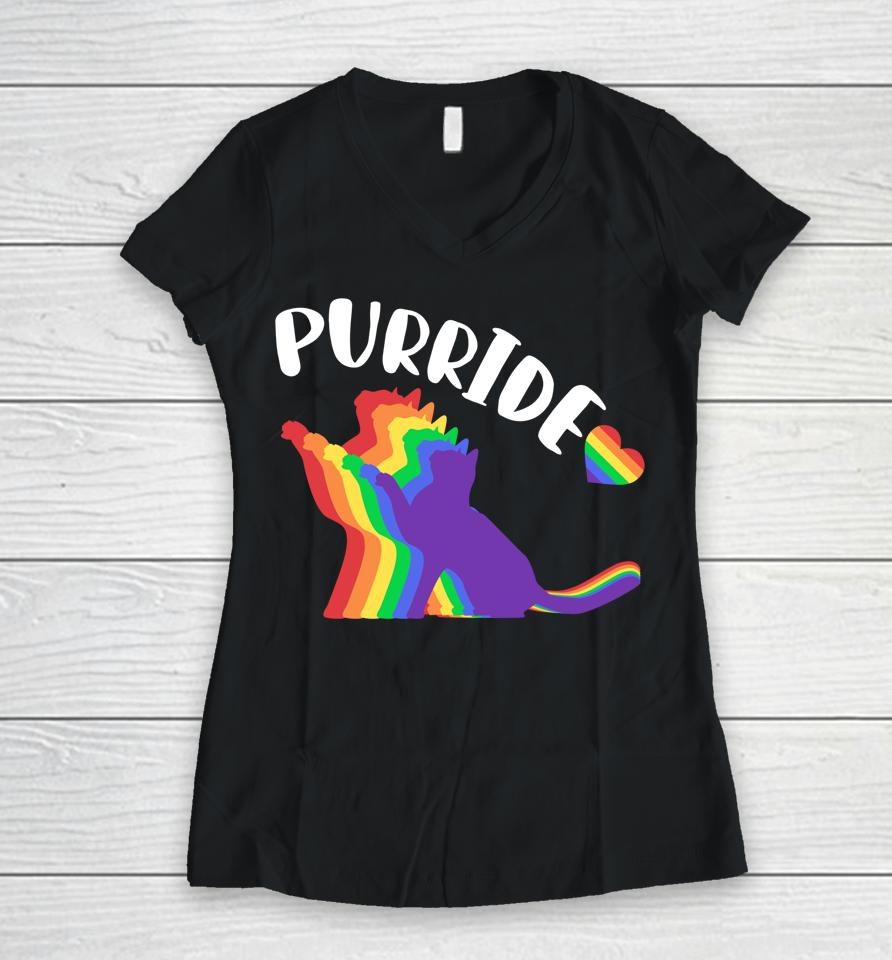 Purride Shirt Gay Pride Cat Shirt Pride Cat Shirt Cat Lgbtq Women V-Neck T-Shirt