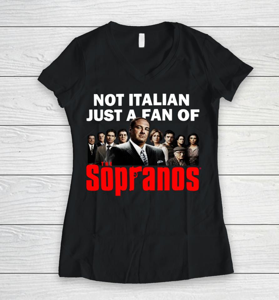 Shithead Steve Merch Not Italian Just A Fan Of The Sopranos Women V-Neck T-Shirt