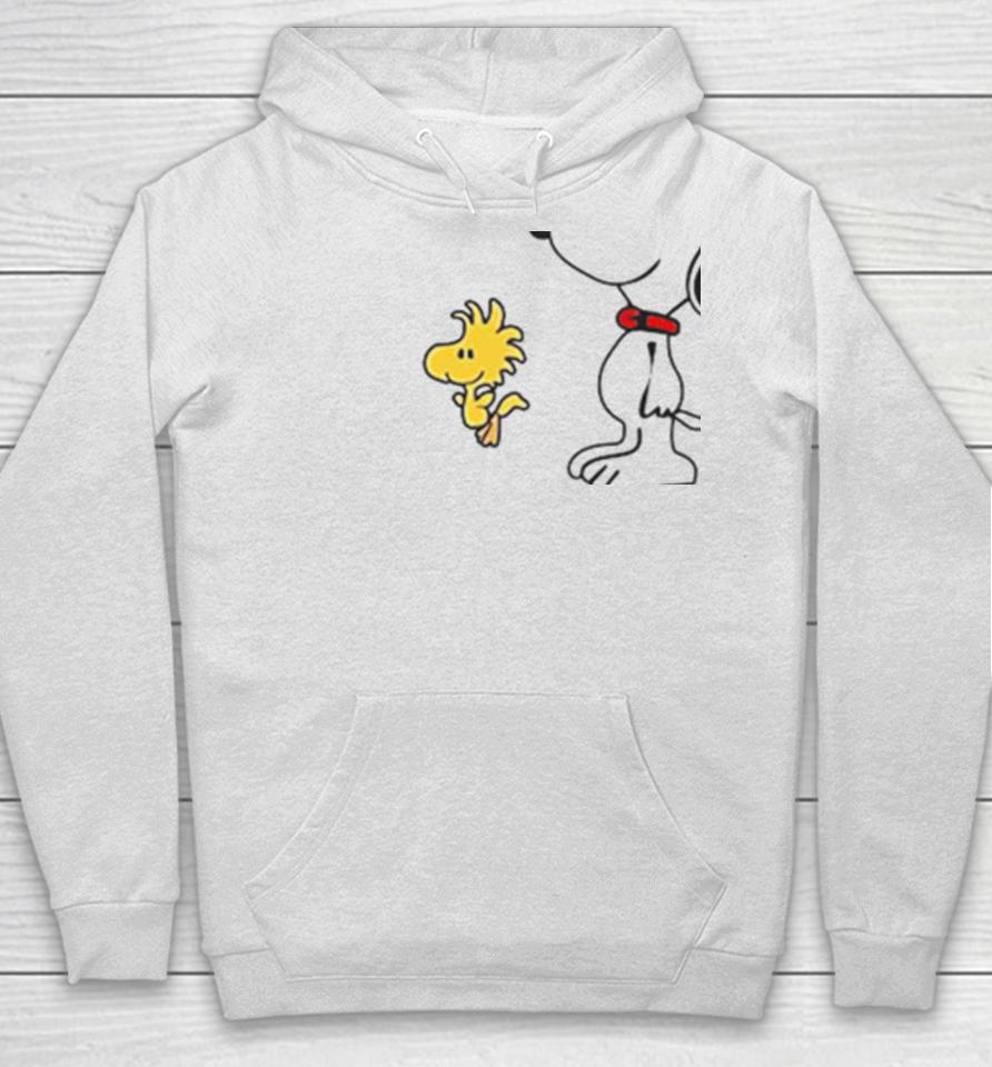 Snoopy Woodstock Sometimes I Talk To Myself Then We Both Laugh And Laugh Hoodie