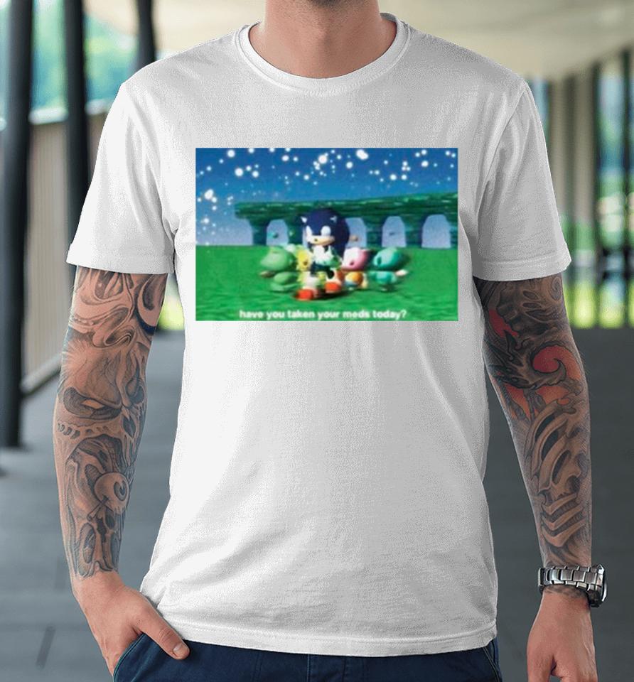 Sonic Have You Taken Your Meds Today Premium T-Shirt