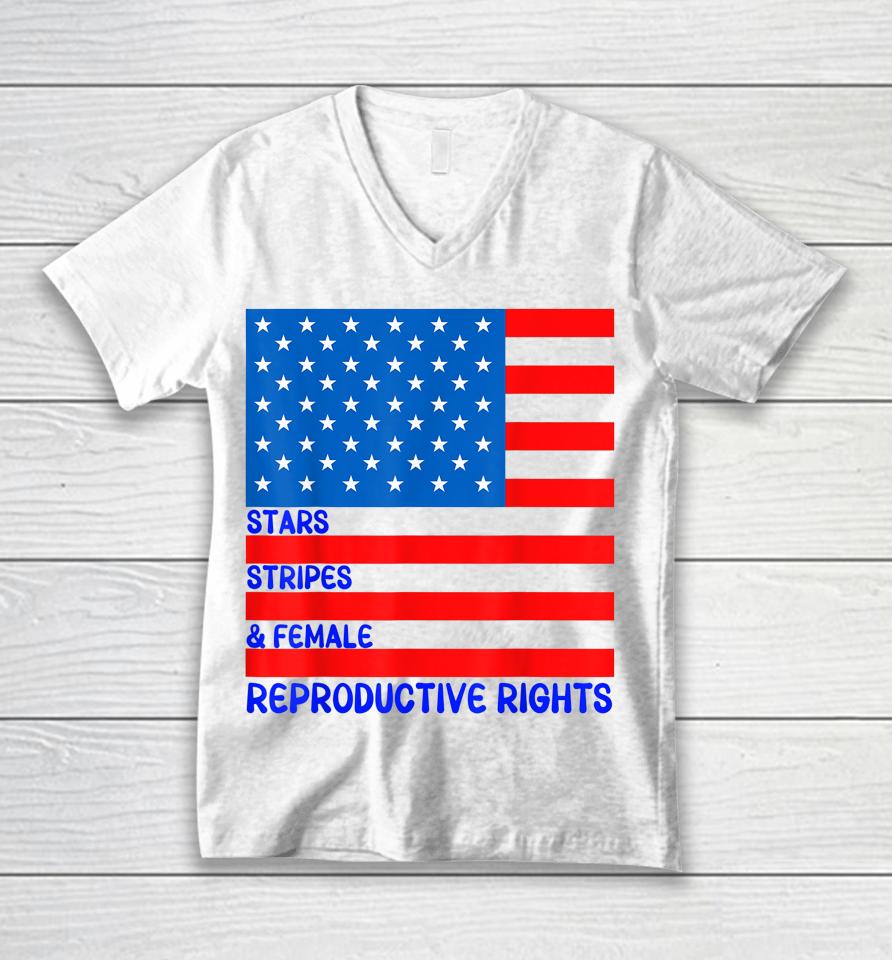 Stars Stripes &Amp; Equal Rights 4Th Of July Independence Unisex V-Neck T-Shirt